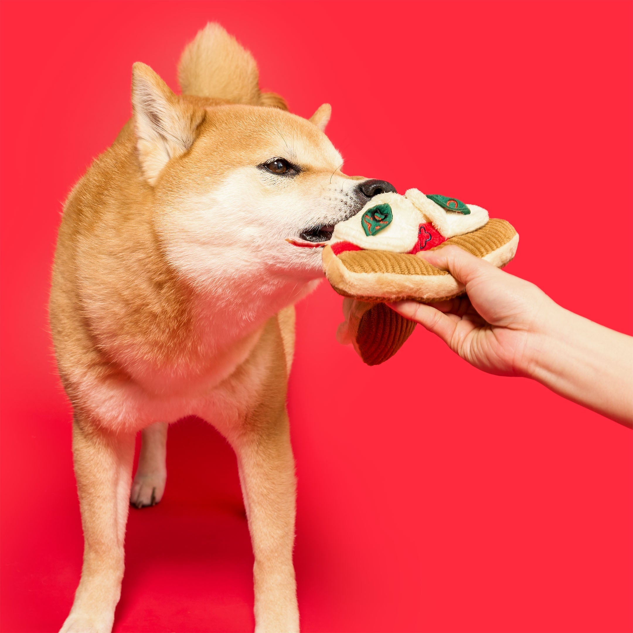 Пошукова іграшка PIZZA The Furryfolks