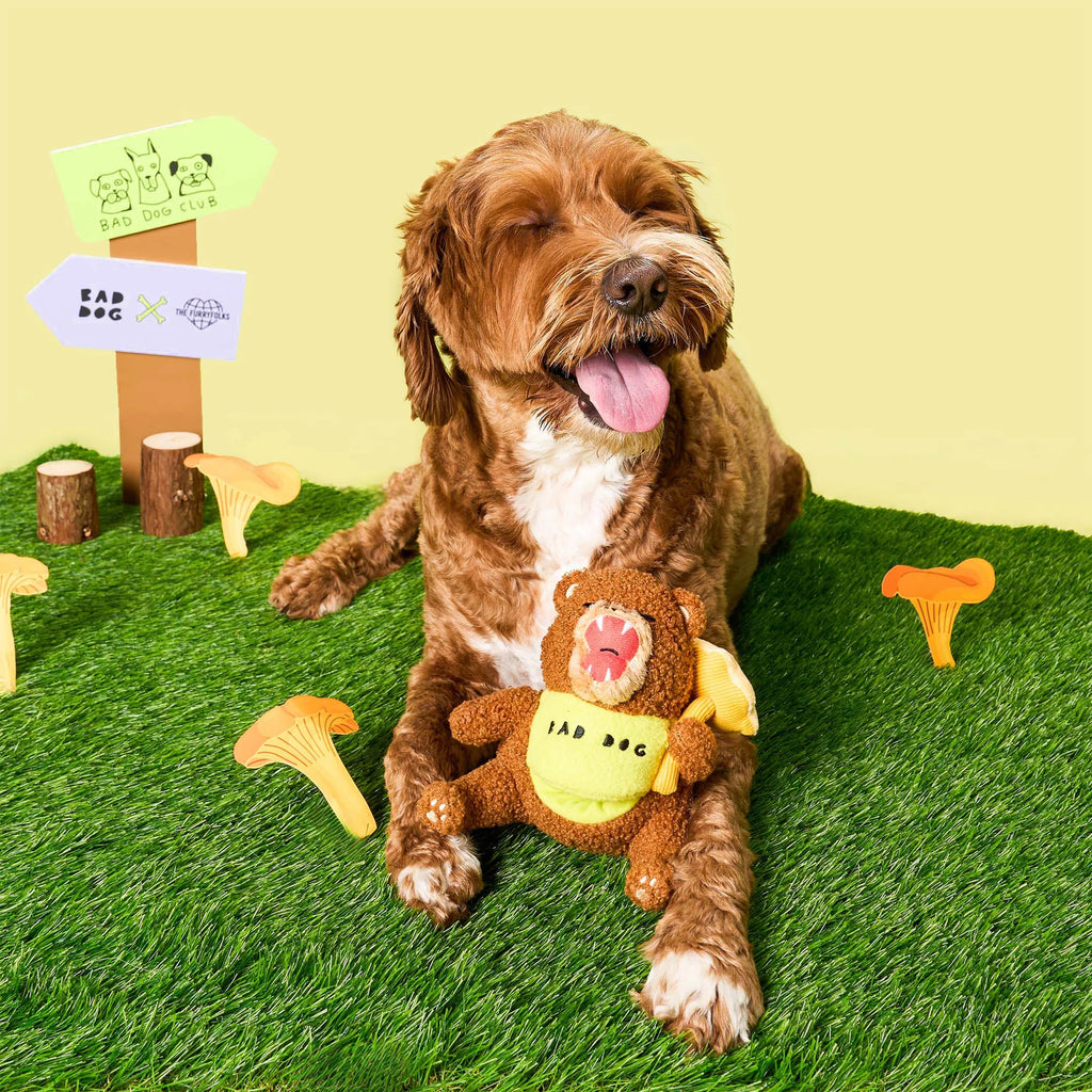 Happy Bear Tofino The Furryfolks