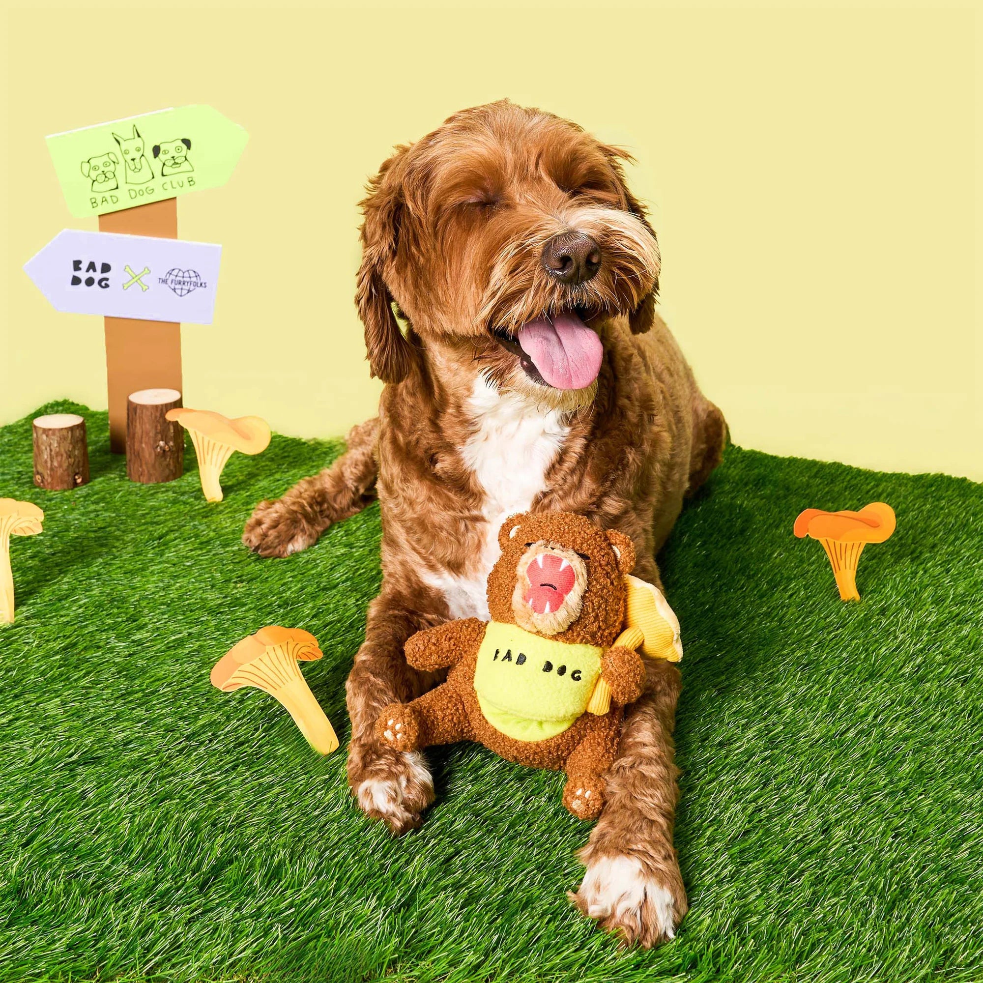 Happy Bear Tofino The Furryfolks