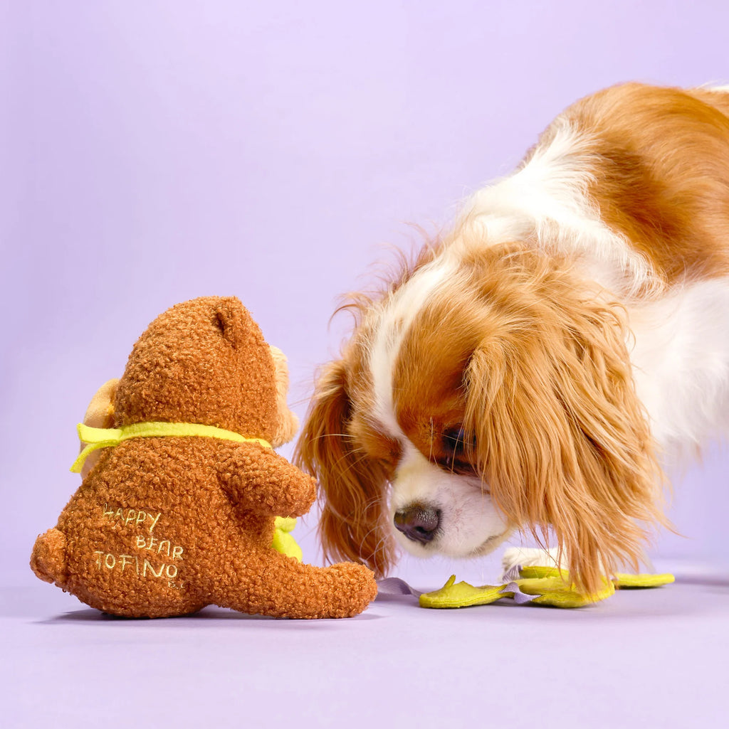 Happy Bear Tofino The Furryfolks