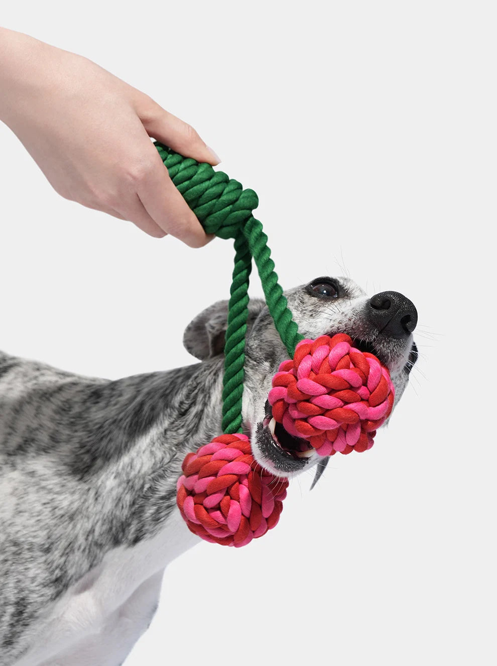 Іграшка канатна Cherry Knot Rope Toy Vetreska