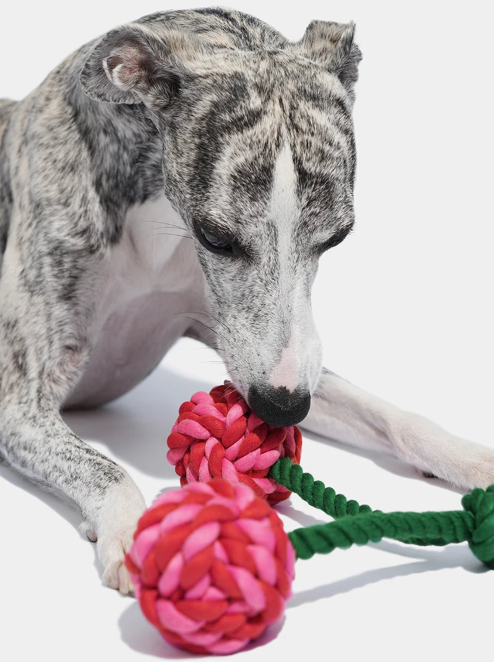 Іграшка канатна Cherry Knot Rope Toy Vetreska
