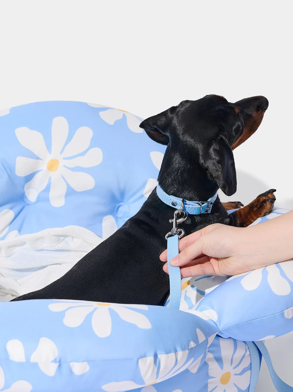 Автокрісло-переноска Daisy Car Seat Pet Carrier Vetreska