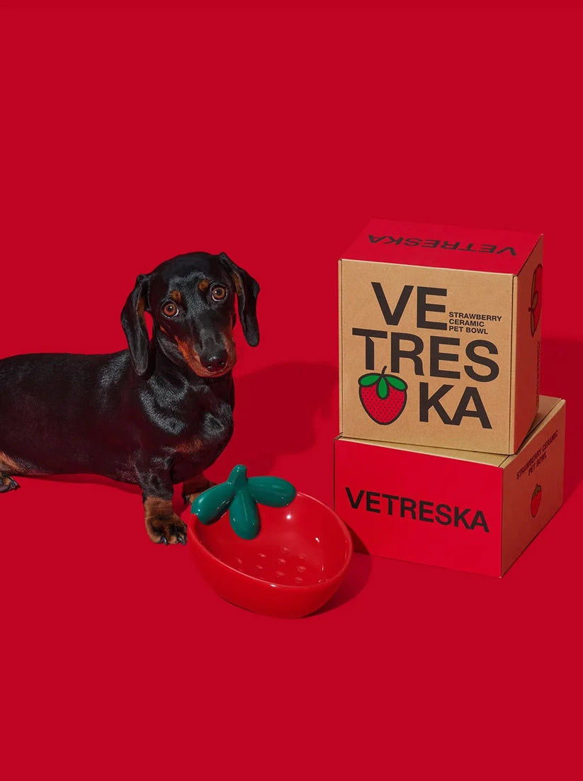 Керамічна миска Strawberry Ceramic Pet Bowl Vetreska
