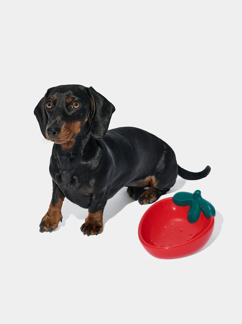 Керамічна миска Strawberry Ceramic Pet Bowl Vetreska