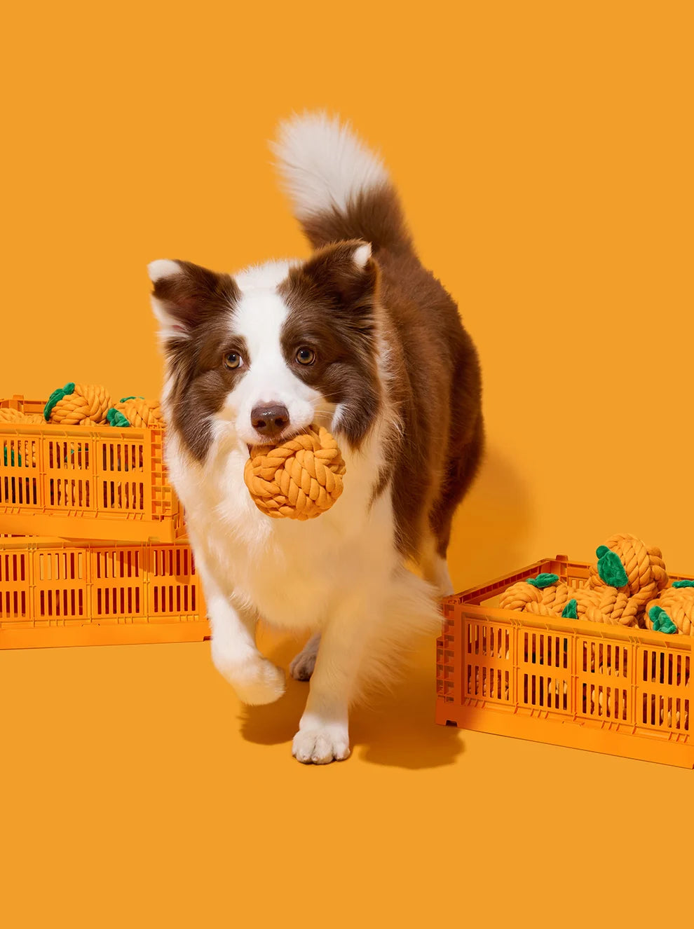 Іграшка канатна Tangerine Knot Rope Toy Vetreska