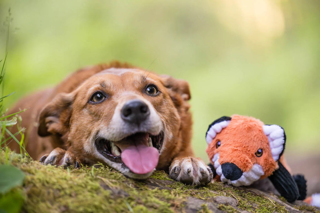 Іграшка Forest Friends Forest the Fox