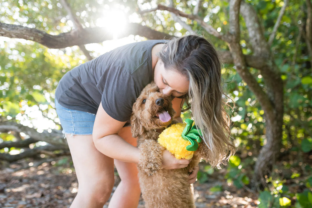Іграшка Tropical Paradise Paws Up Pineapple