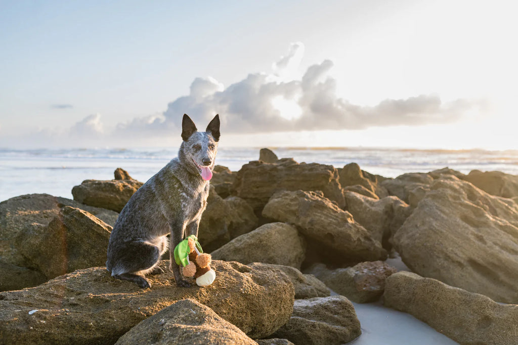 Іграшка Tropical Paradise Puppy Palm