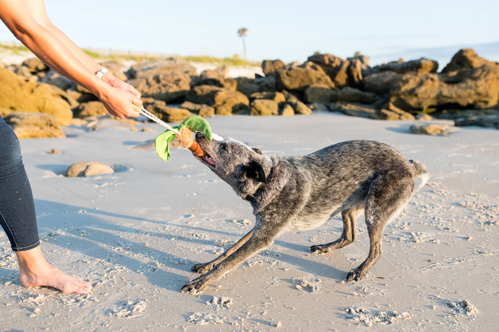Іграшка Tropical Paradise Puppy Palm