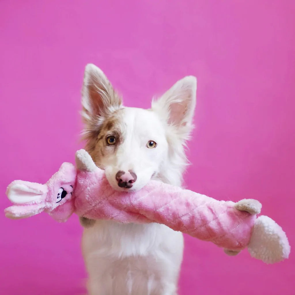 Іграшка зайчик Jigglerz® Bunny ZippyPaws