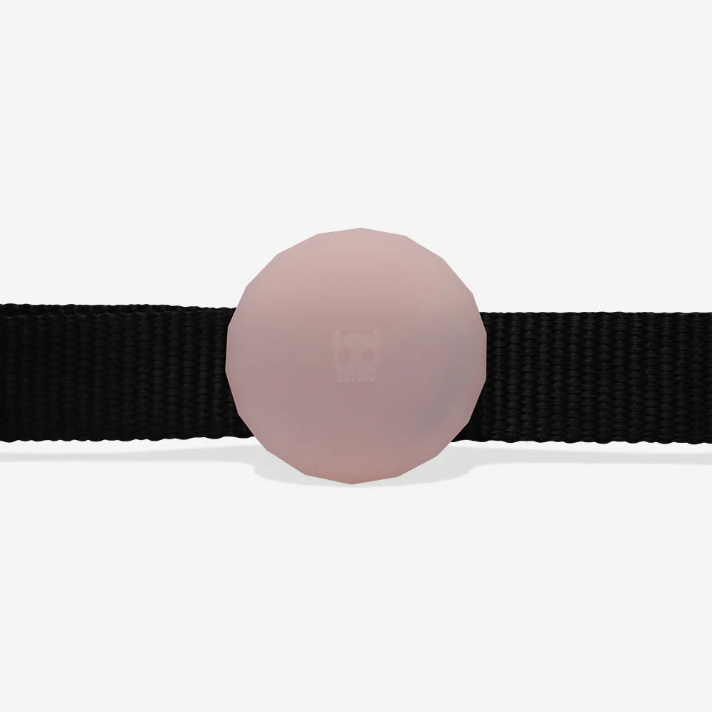 Холдер для AirTag Pink Zee.Dog