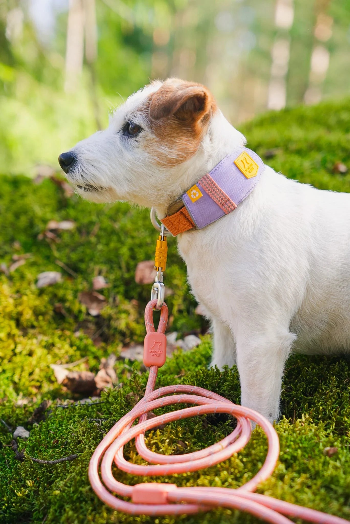 Нашийник Alpha 360 Collar Lavender Mix Woolly Wolf