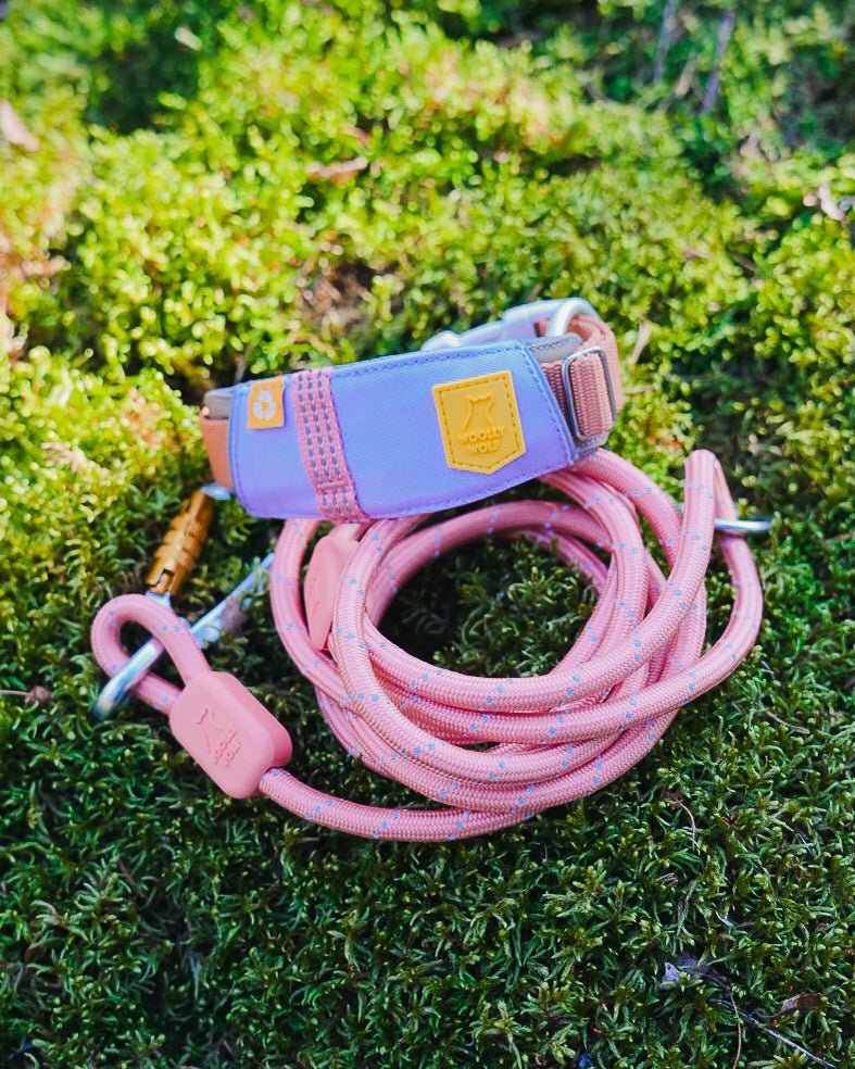 Нашийник Alpha 360 Collar Lavender Mix Woolly Wolf