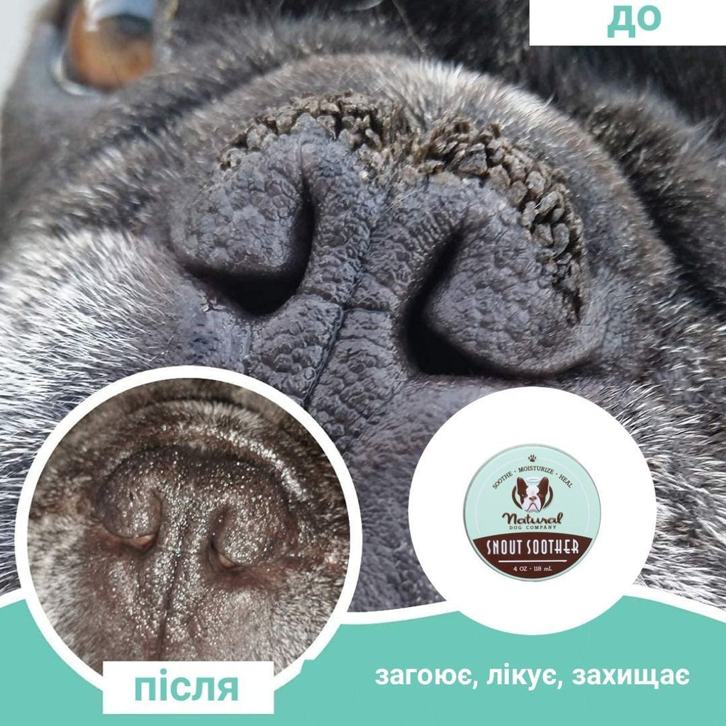 Бальзам для носика Snout Soother Natural Dog Company