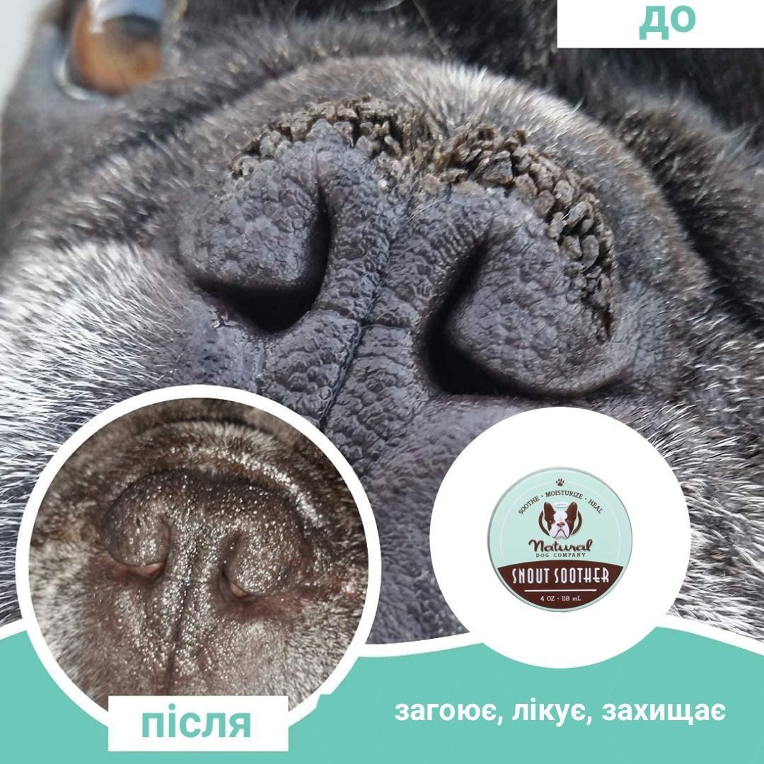 Бальзам для носика Snout Soother Natural Dog Company
