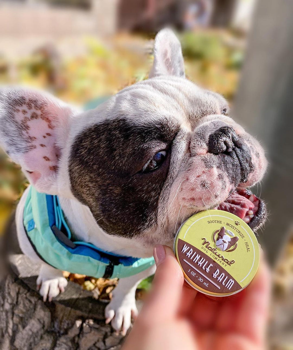 Бальзам для складочок Wrinkle Balm Natural Dog Company
