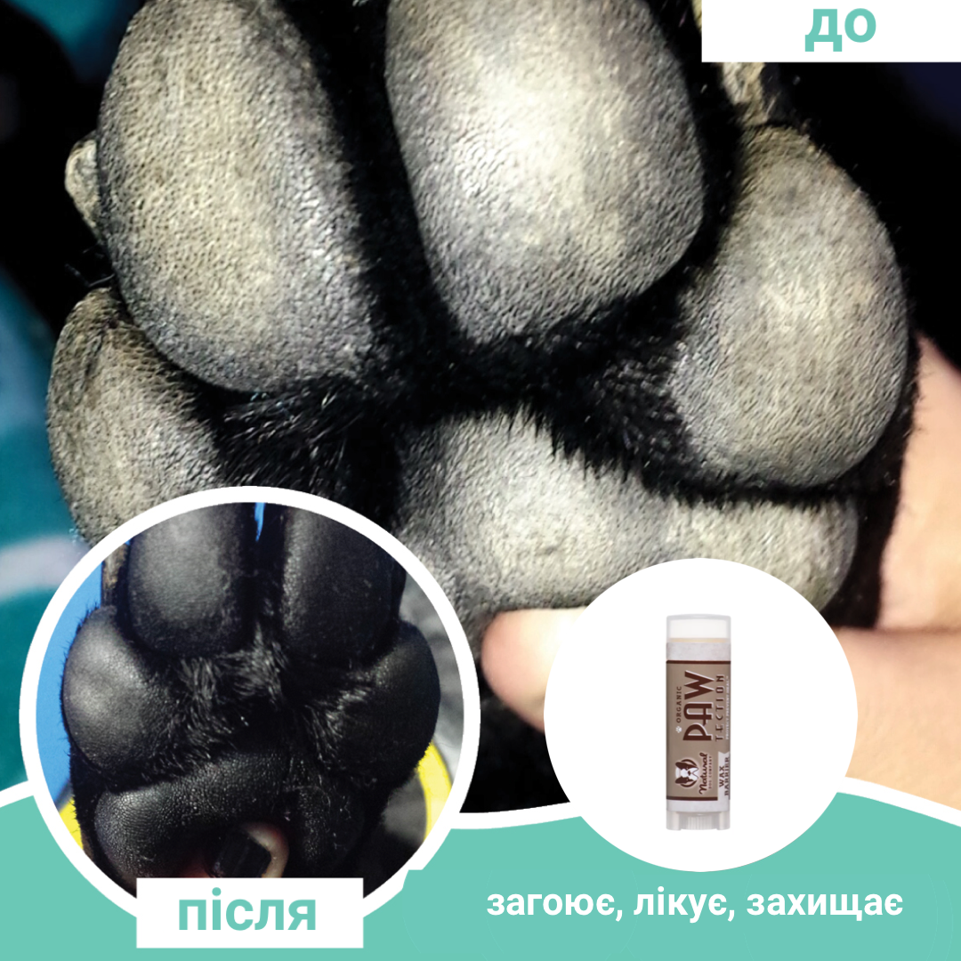 Бальзам для захисту лап Paw Tection Natural Dog Company