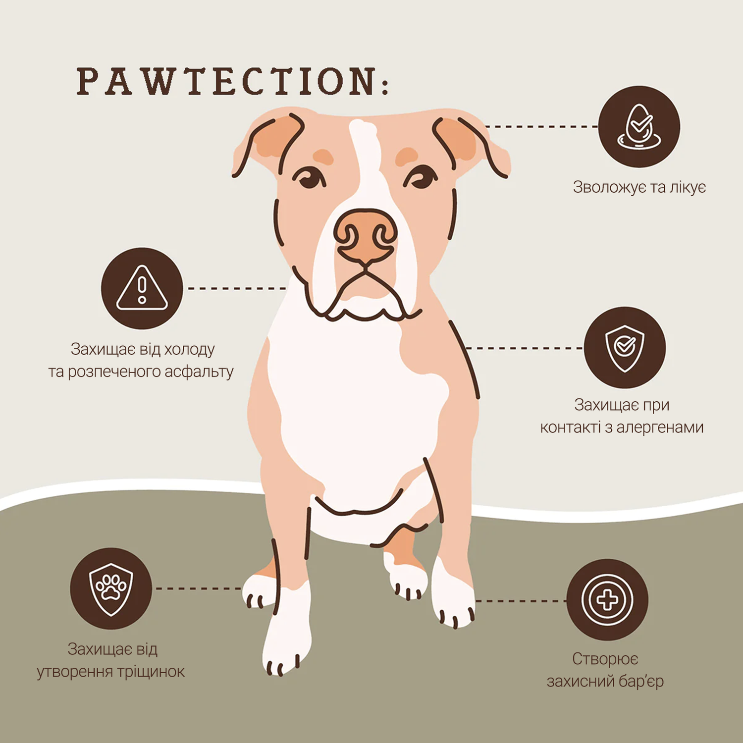 Бальзам для захисту лап Paw Tection Natural Dog Company
