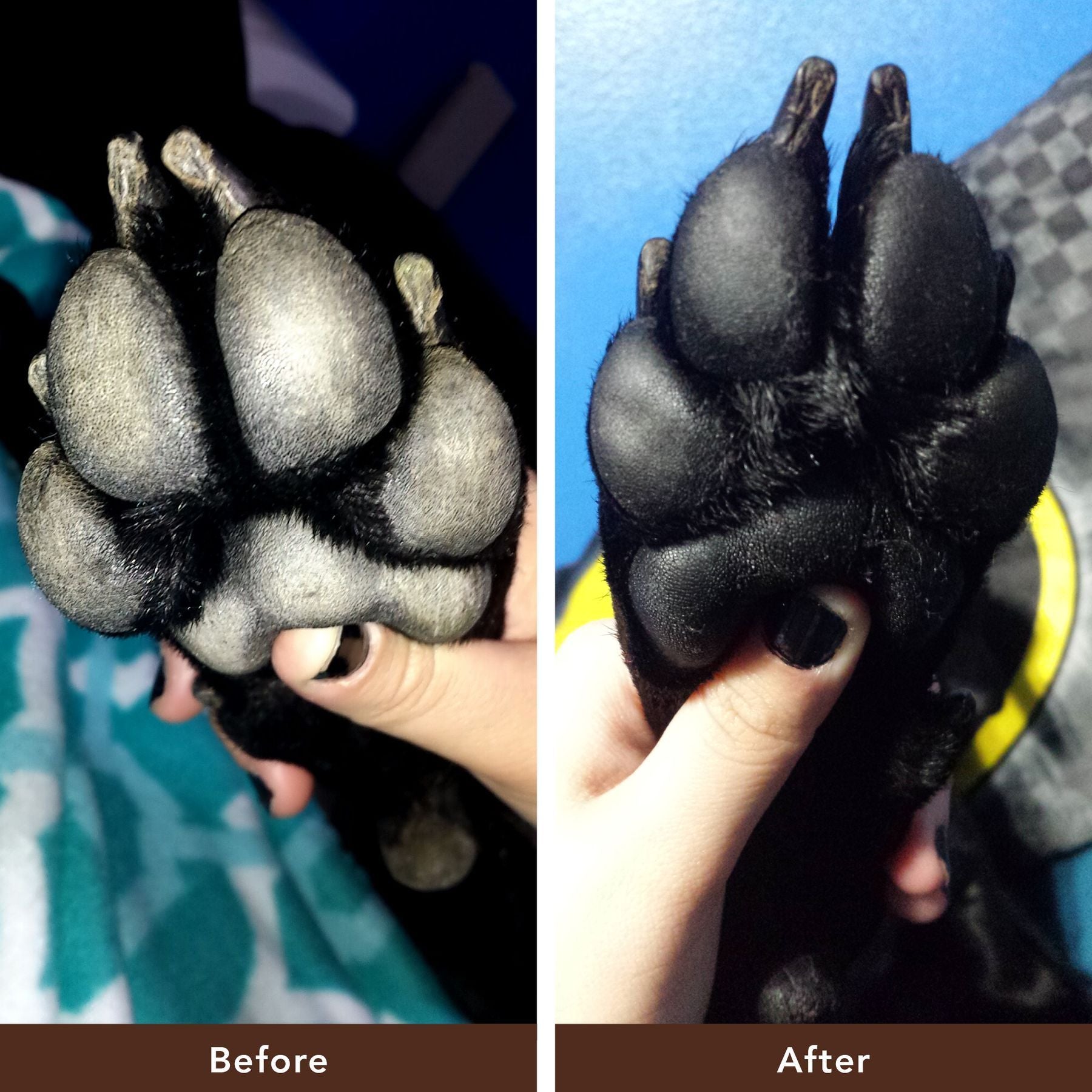 Бальзам для захисту лап Paw Tection Natural Dog Company