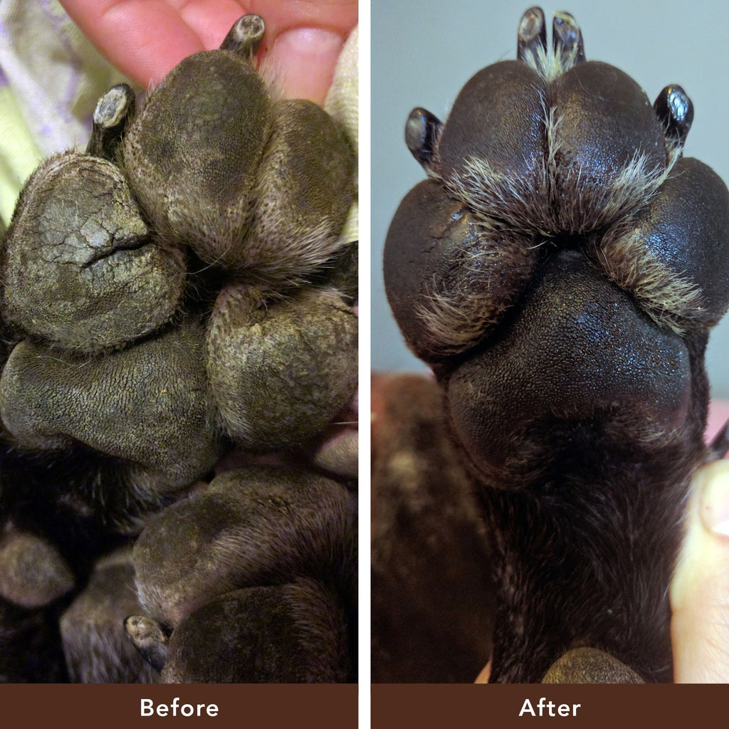 Бальзам для лап проти сухості Paw Soother Natural Dog Company