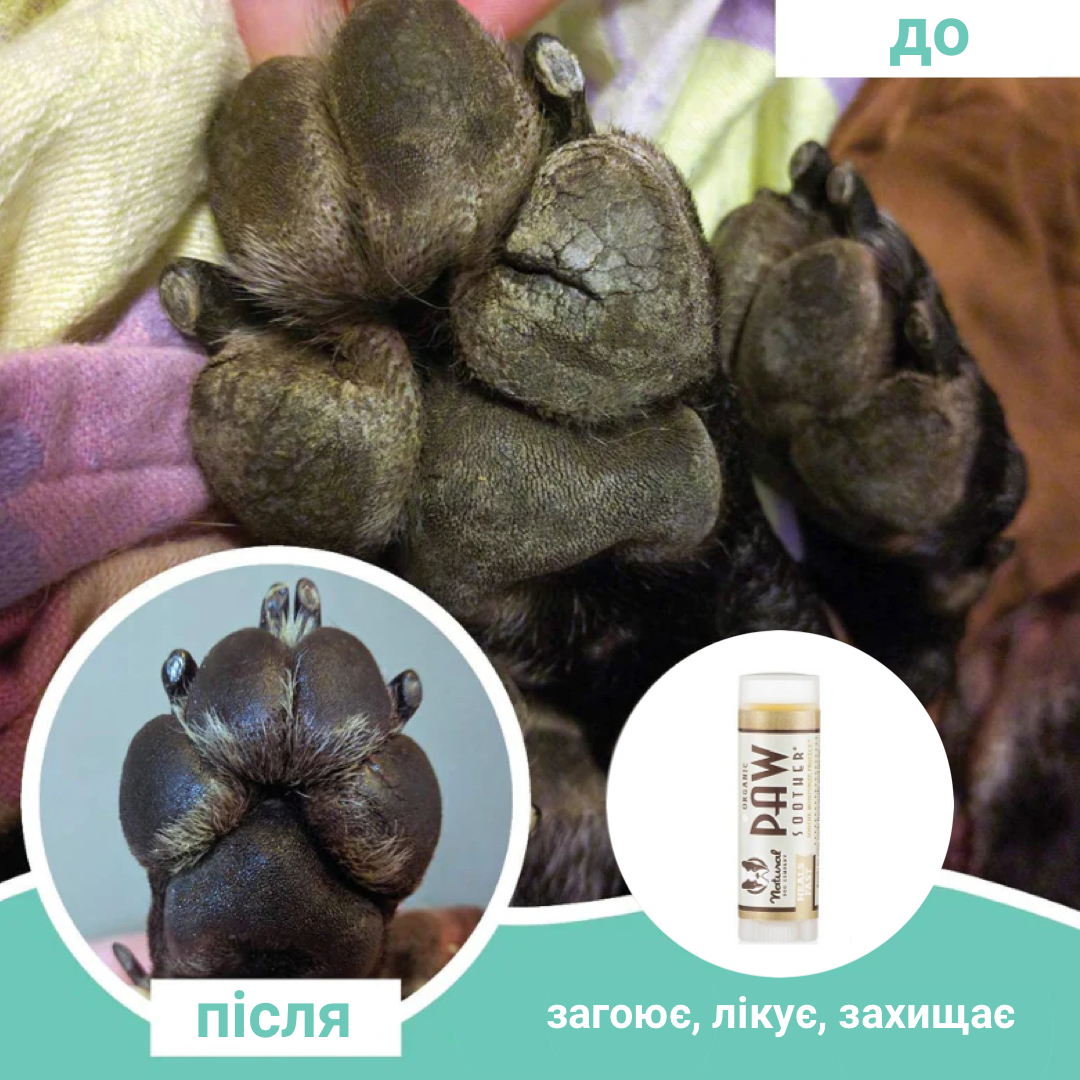 Бальзам для лап проти сухості Paw Soother Natural Dog Company