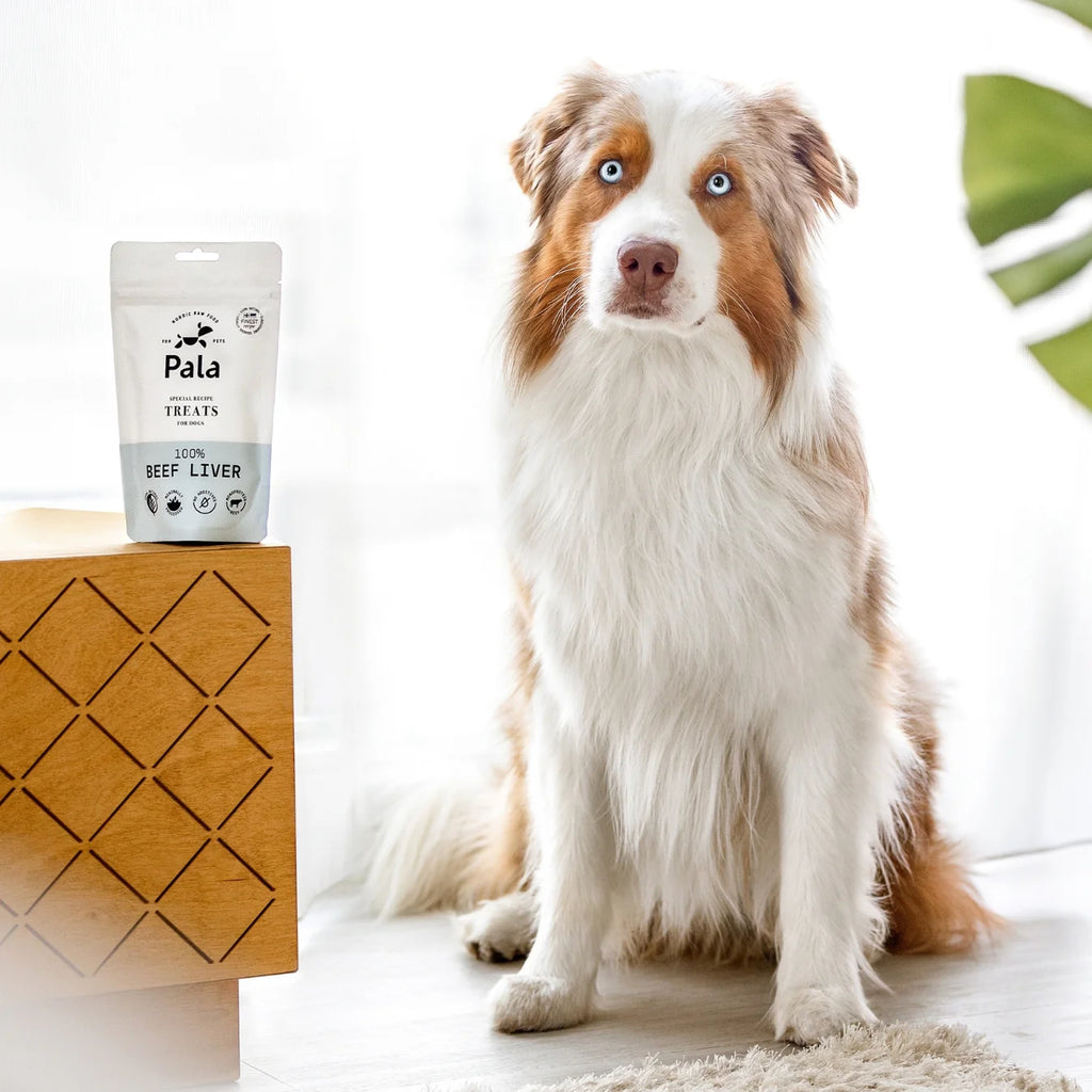 100% яловича печінка Treats Pala 100 г