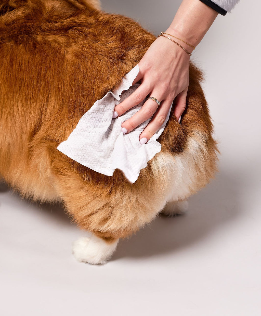 Біорозкладні вологі серветки Grooming Wipes розмір XL Natural Dog Company 50 шт