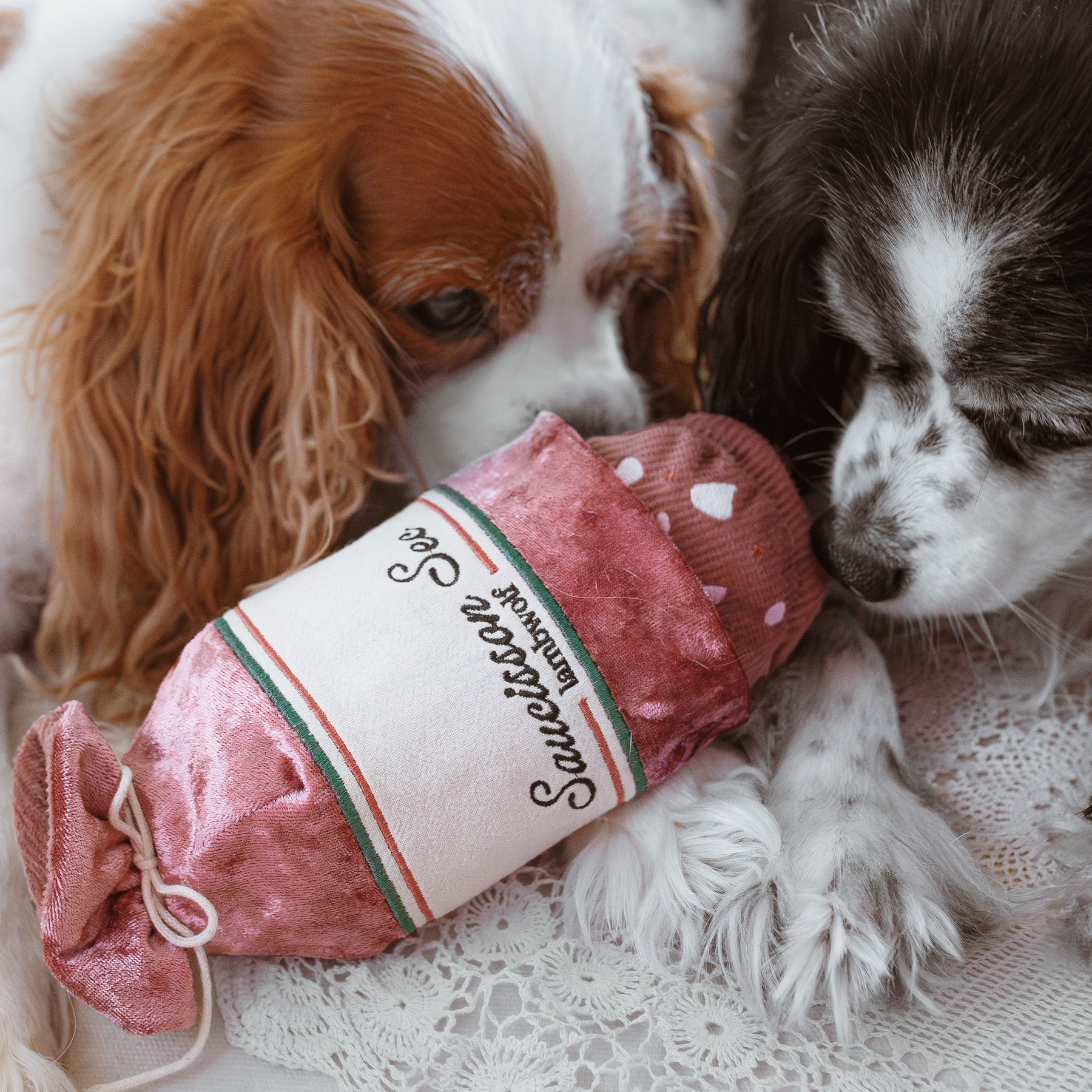 Пошукова іграшка SAUCISSON SEС lambwolf collective