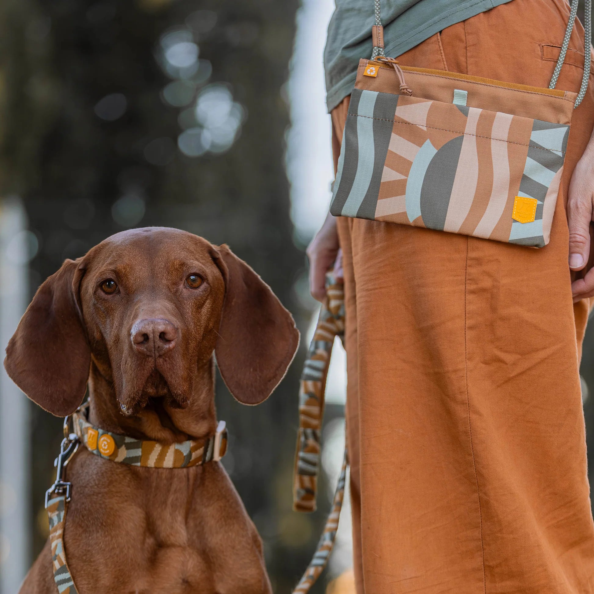 Сумка для прогулянок Accessory Bag Cloudbeam Woolly Wolf