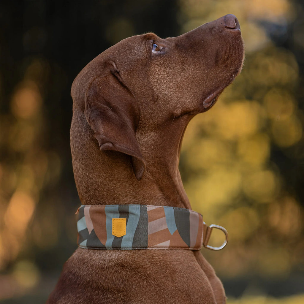 Нашийник Cloudbeam Soft Martingale Collar Woolly Wolf