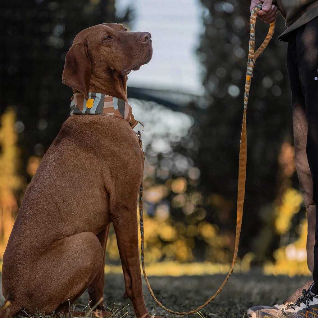 Нашийник Cloudbeam Soft Martingale Collar Woolly Wolf