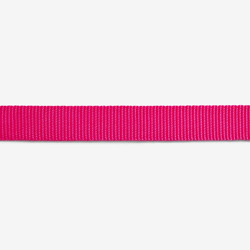 Нашийник Pink Led Zee.Dog