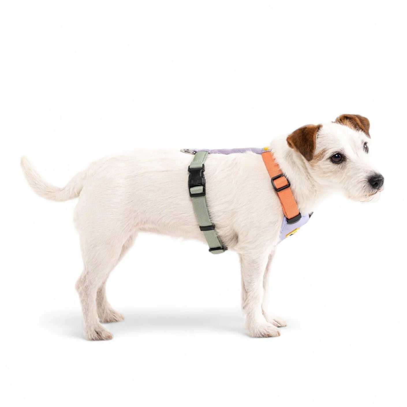 Шлея для собак Color Block Salmon Pink Mix Harness Woolly Wolf