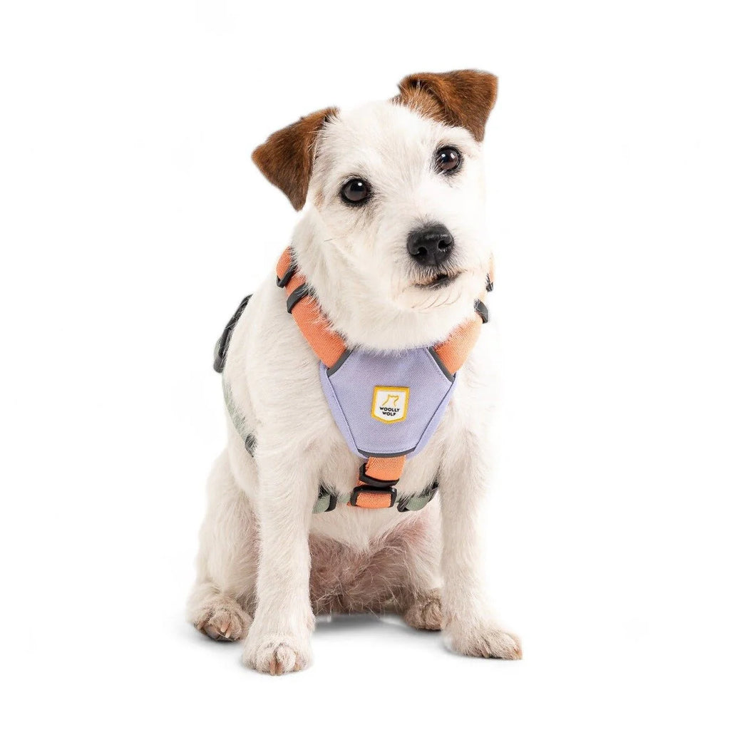 Шлея для собак Color Block Salmon Pink Mix Harness Woolly Wolf