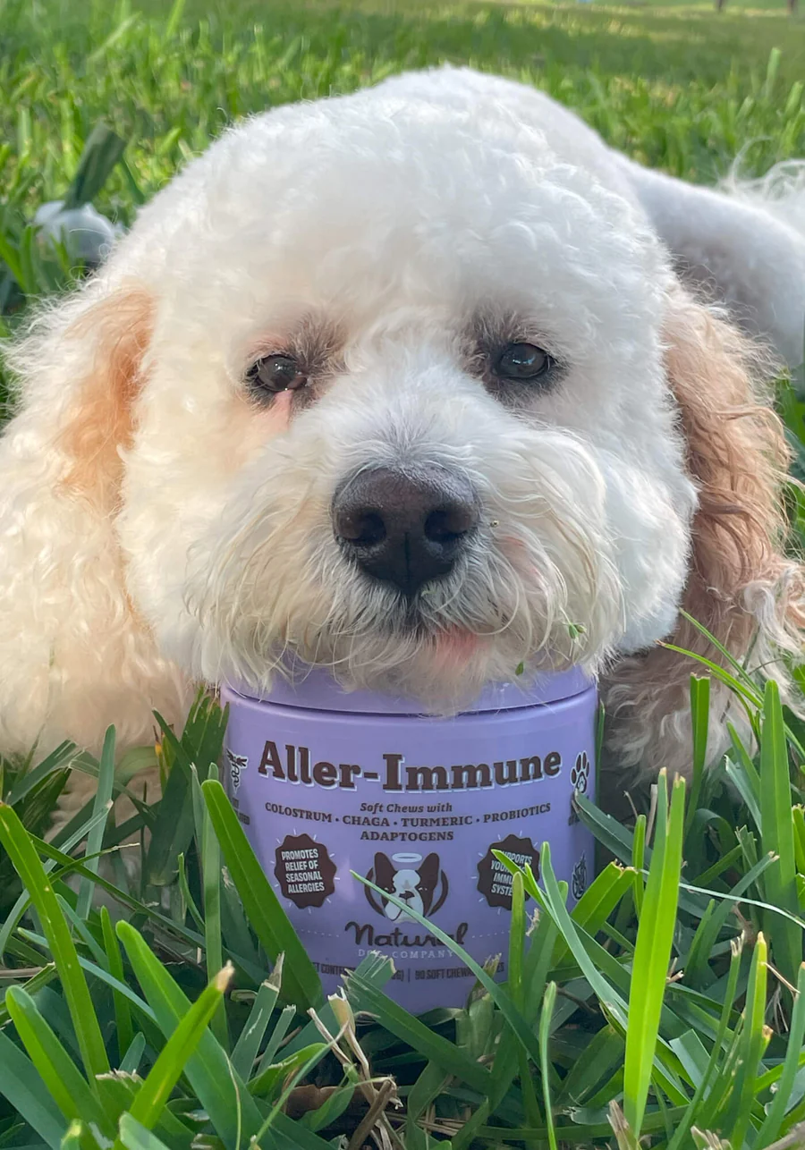 Вітамінний комплекс проти алергії та зуду Allergy & Itch Defense Natural Dog Company 90шт