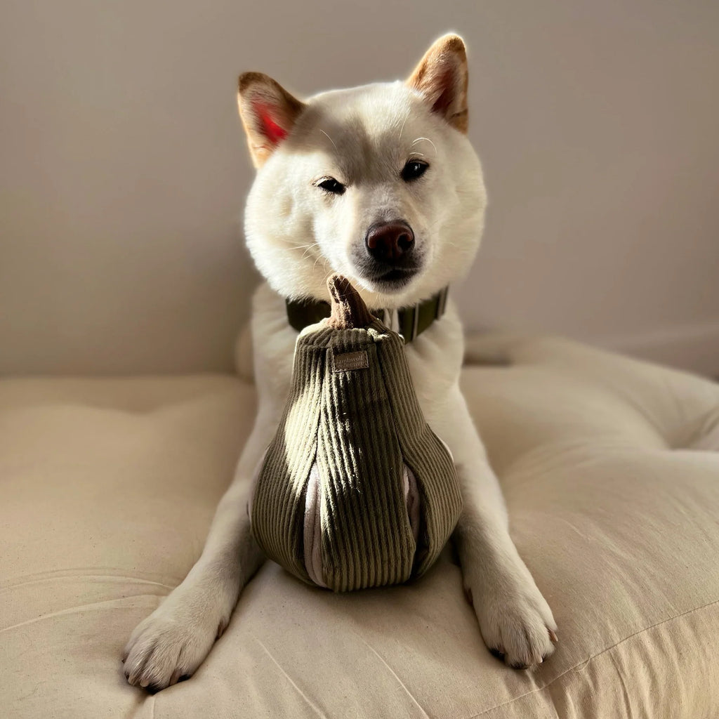 Пошукова іграшка BUTTERNUT lambwolf collective