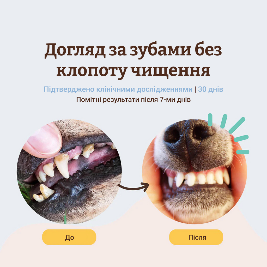 Порошок від зубного каменю Dental Powder 80 г