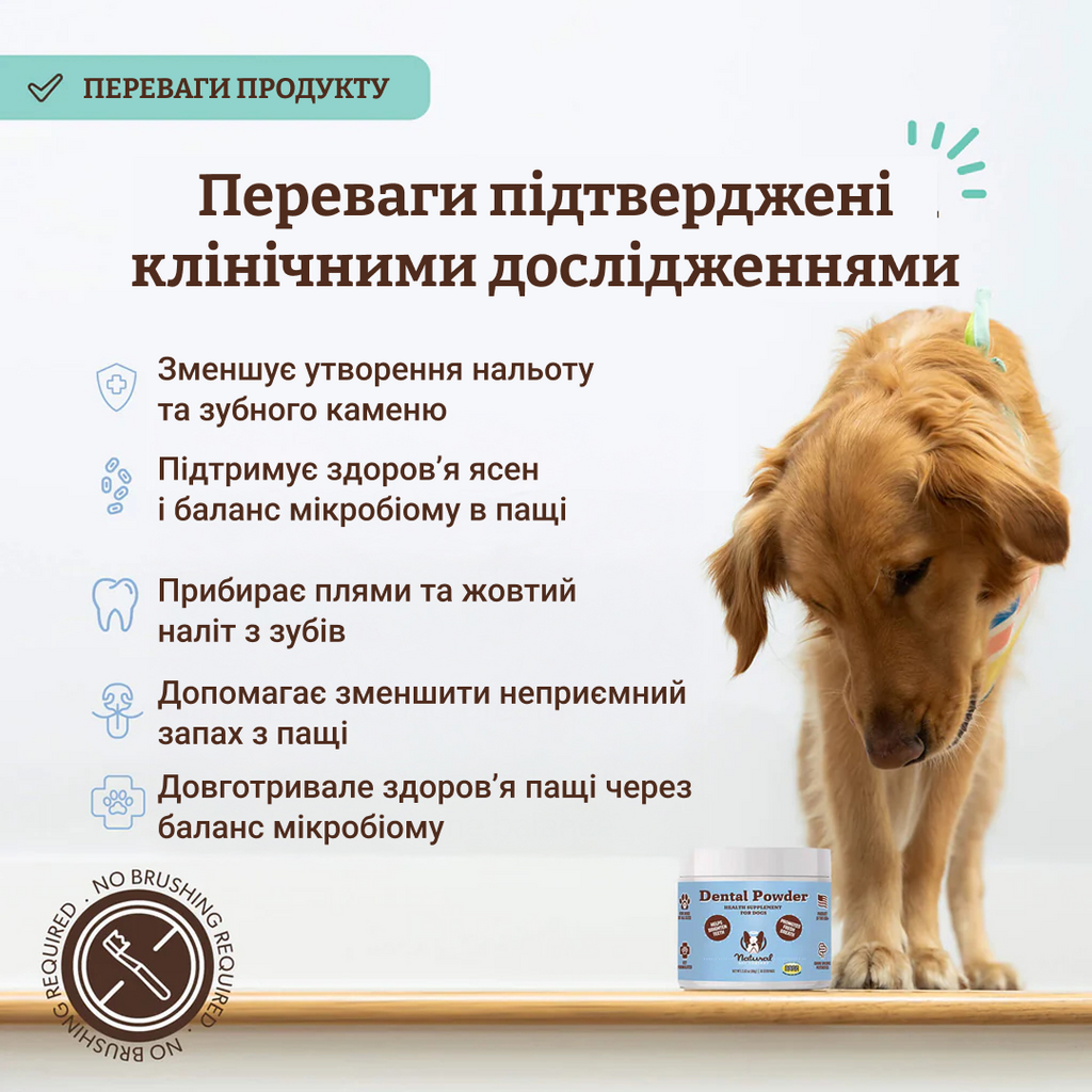 Порошок від зубного каменю Dental Powder 80 г