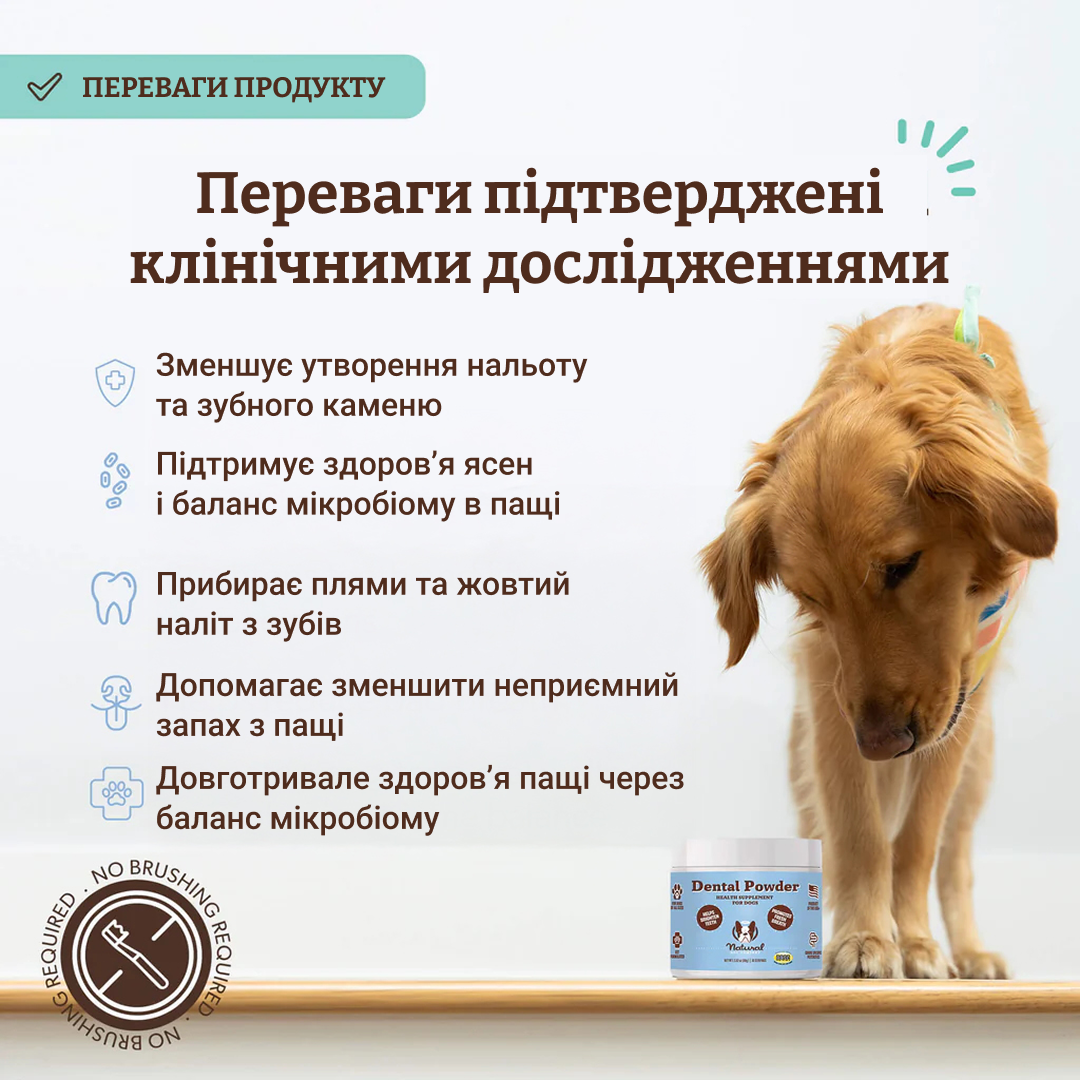 Порошок від зубного каменю Dental Powder 80 г