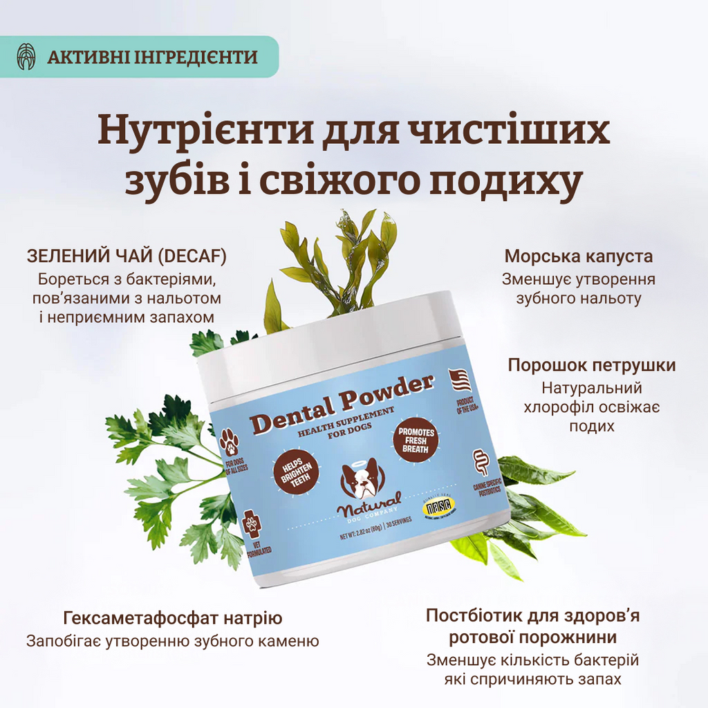 Порошок від зубного каменю Dental Powder 80 г