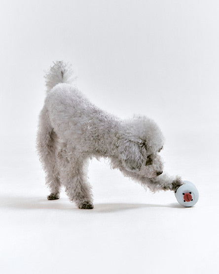 Інтерактивна іграшка Dango Misty blue Roika