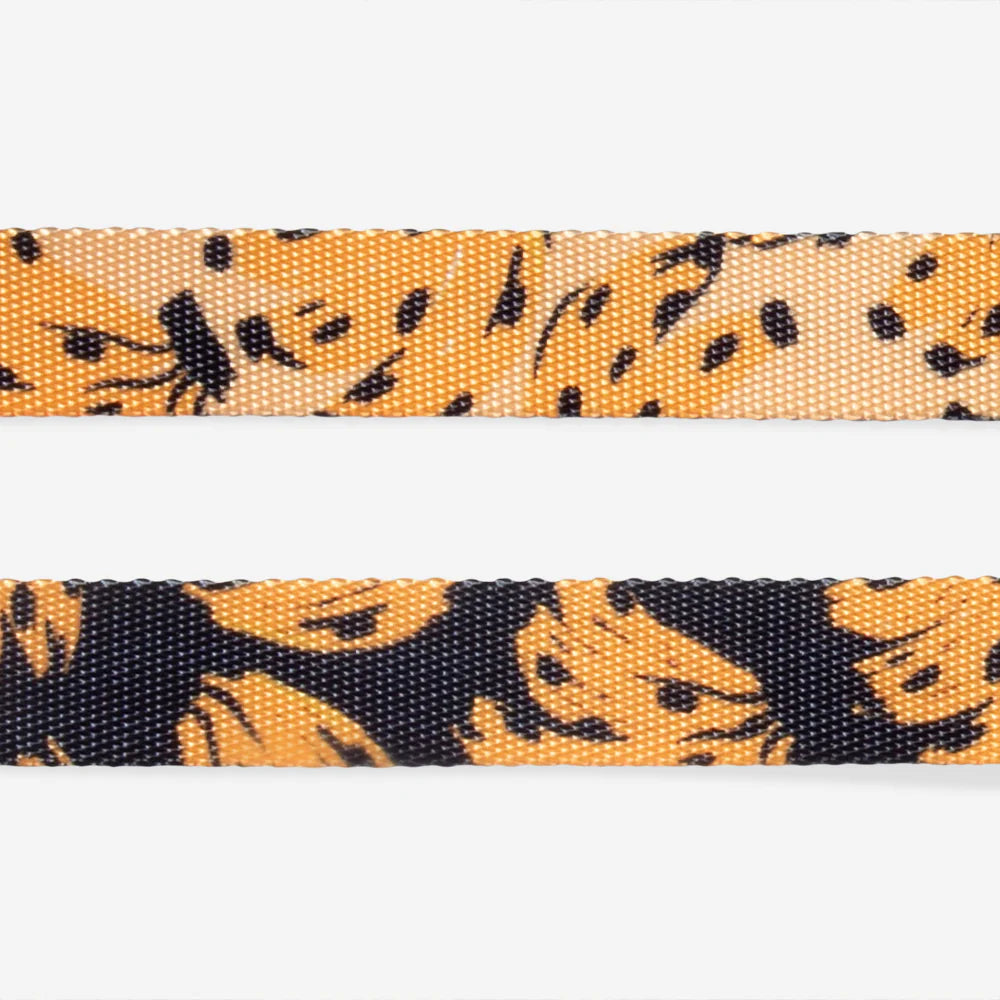 Шлейка для собак Bossa Banana Zee.Dog