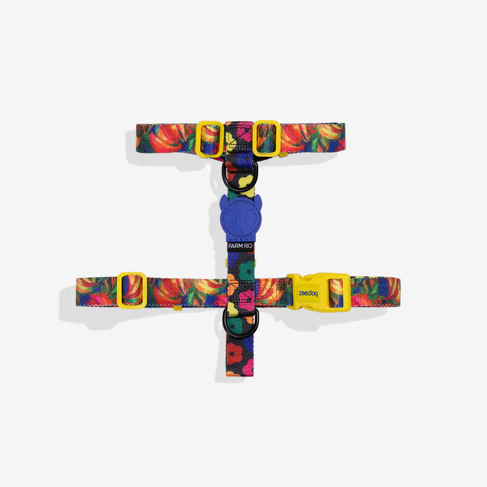 Шлейка для собак Samba Zee.Dog