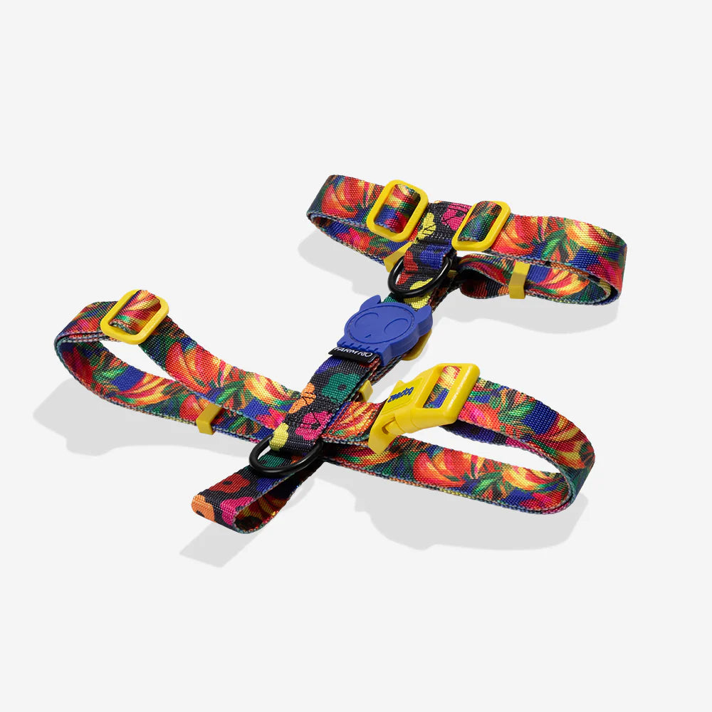 Шлейка для собак Samba Zee.Dog