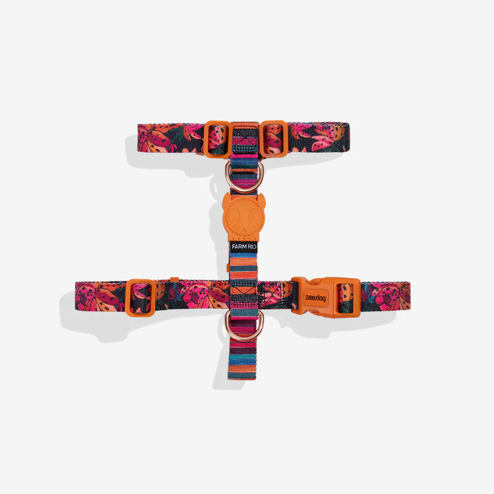 Шлейка для собак Selva Zee.Dog