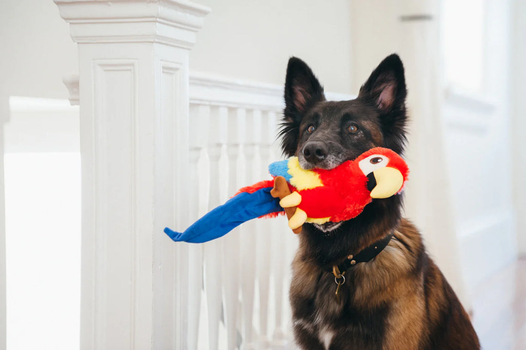 Іграшка Fetching Flock Paula the Parrot