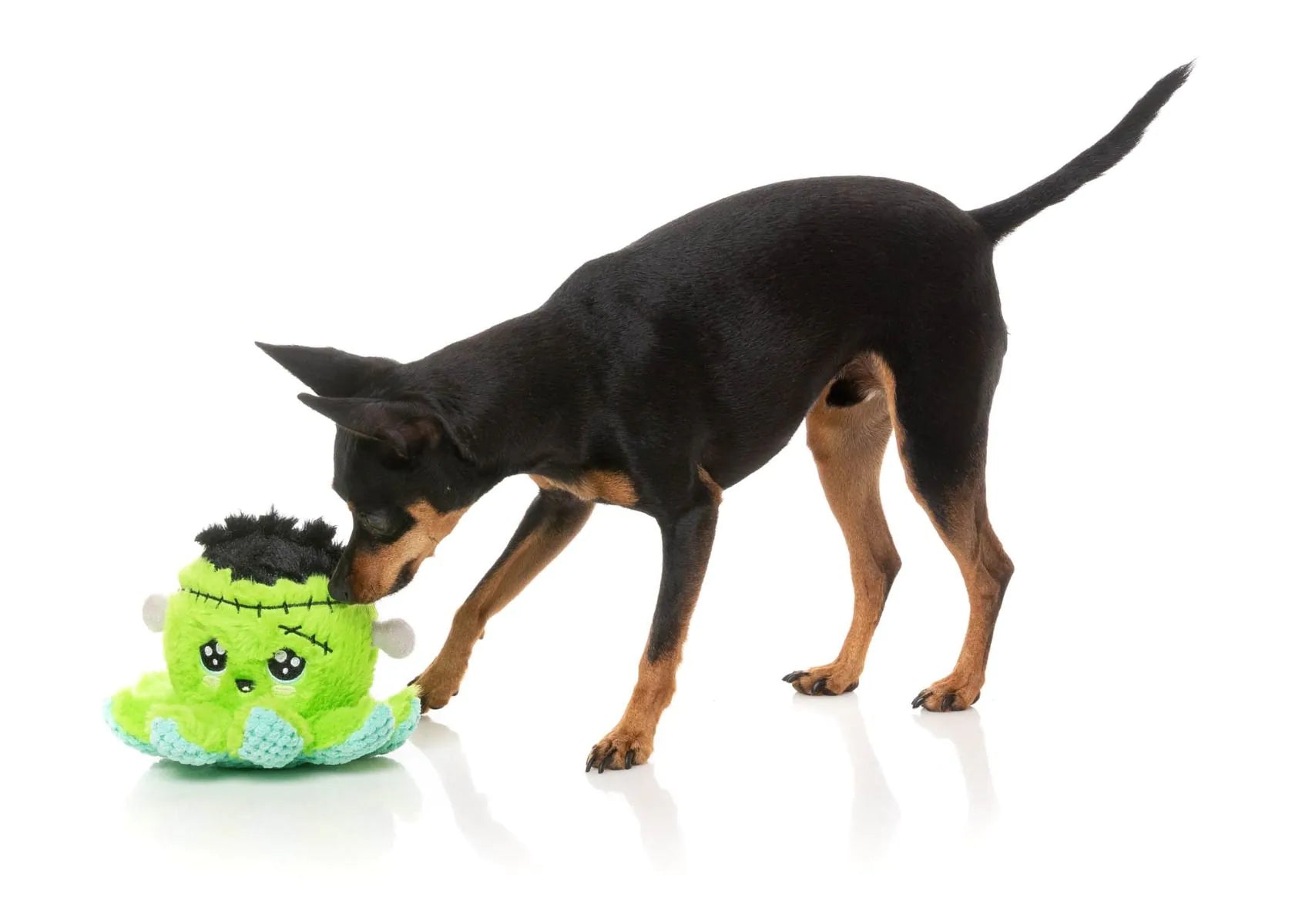 Іграшка Stumpy Franken-pus FuzzYard