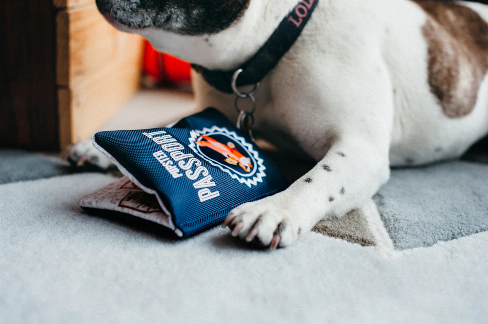 Іграшка Pupster Passport