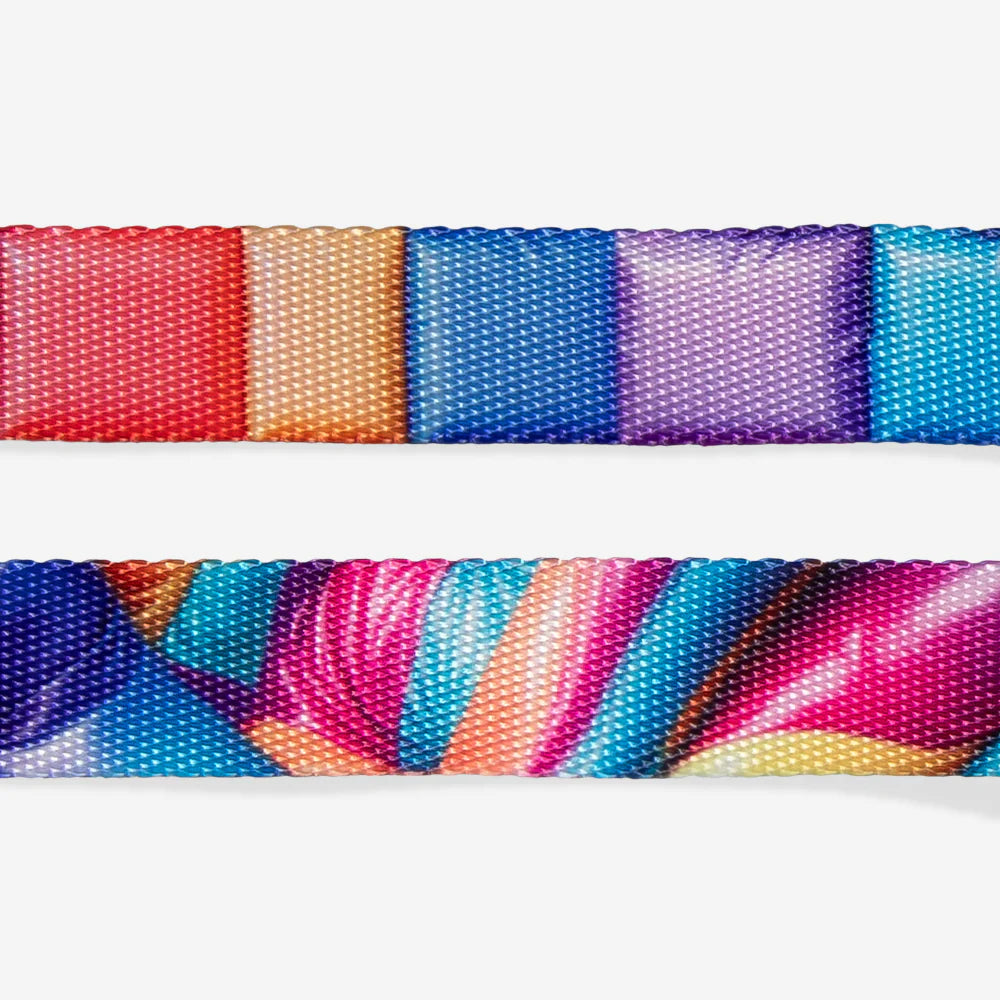 Шлейка BOUNCE H3D Zee.Dog